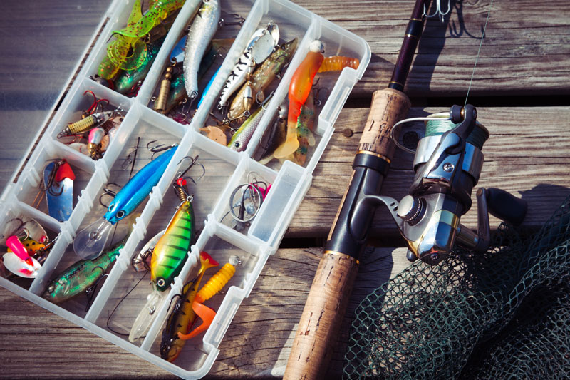 Everything You Need To Start Fishing