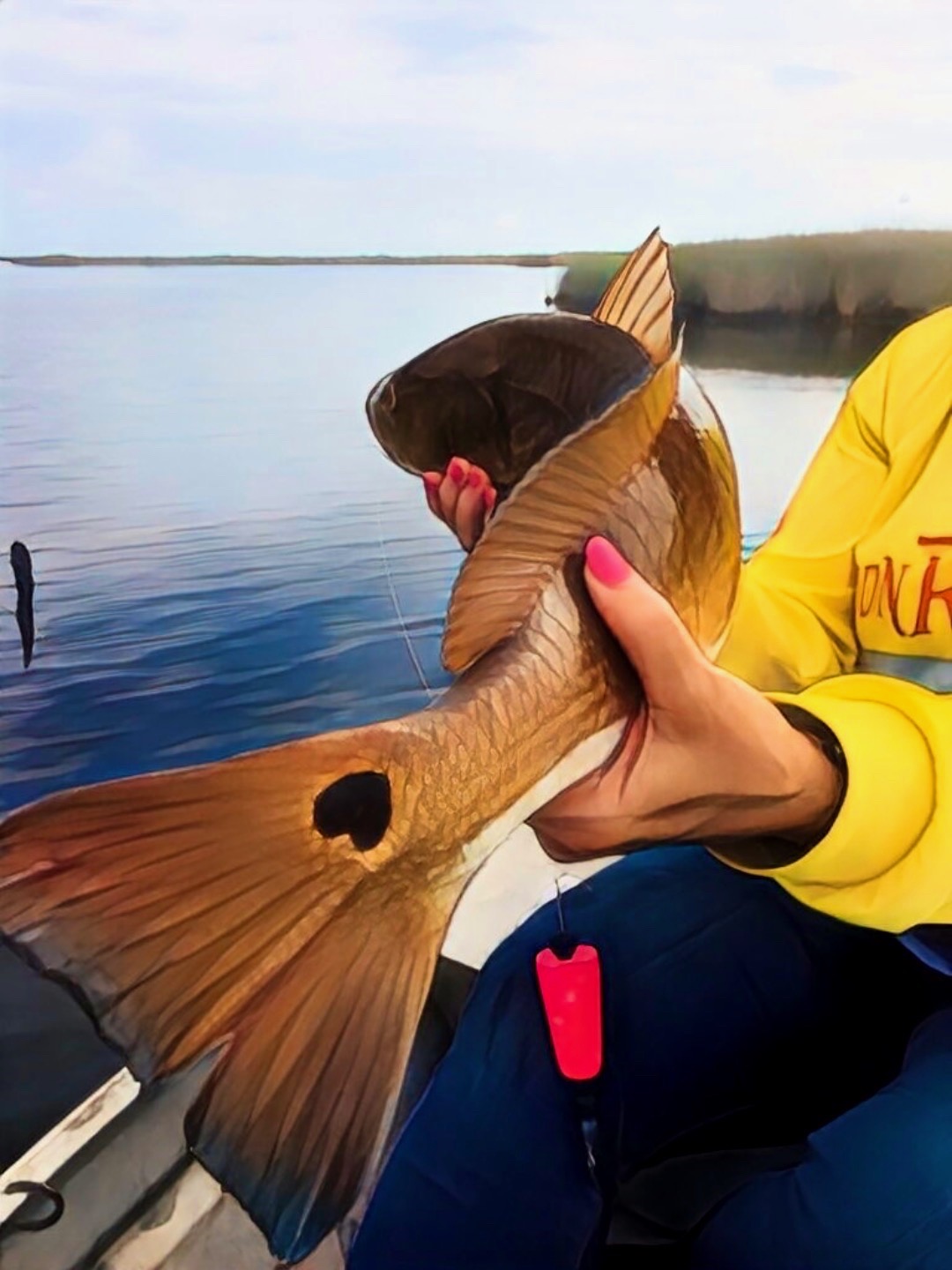Get A Fishing License