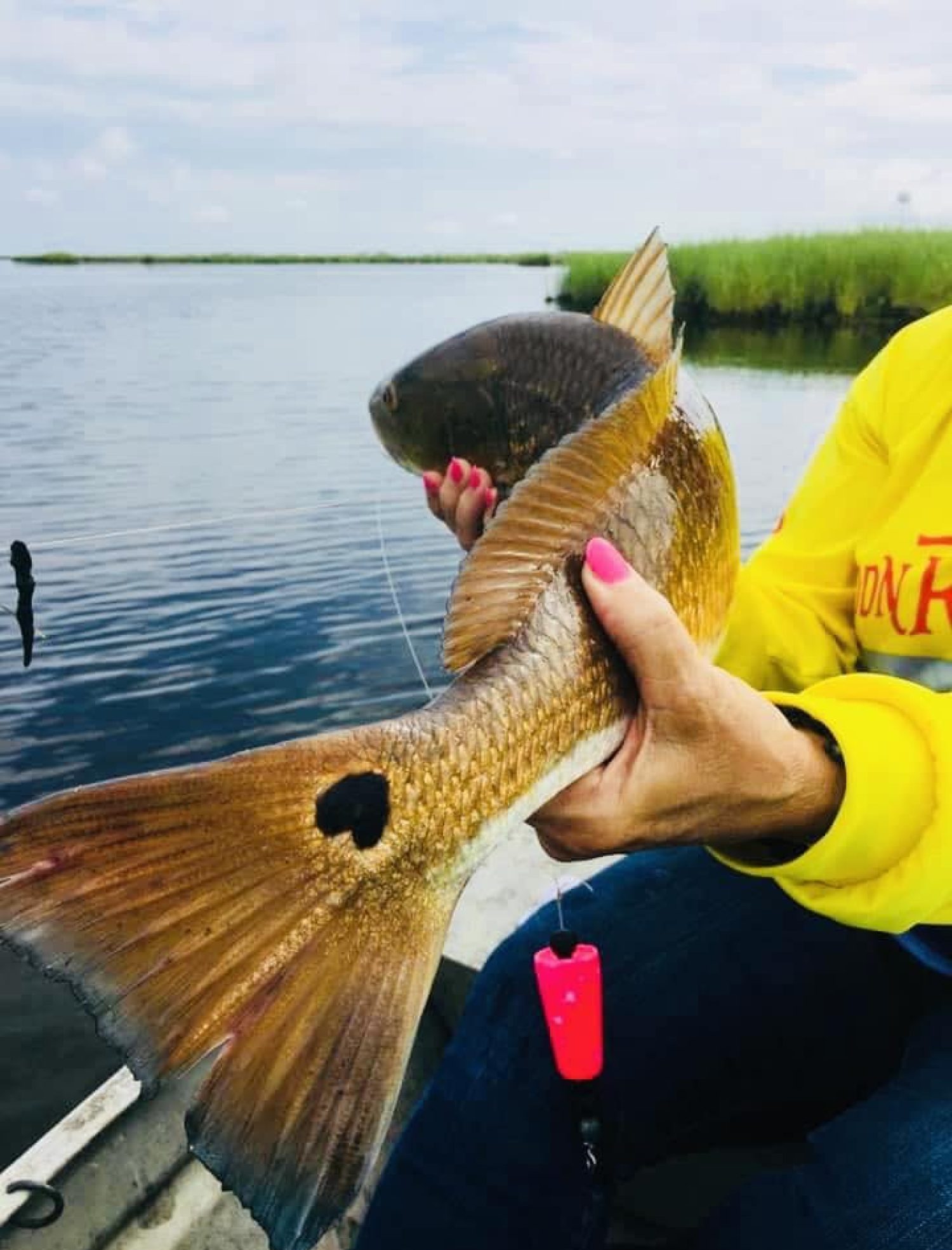How to Fish for Redfish in Louisiana