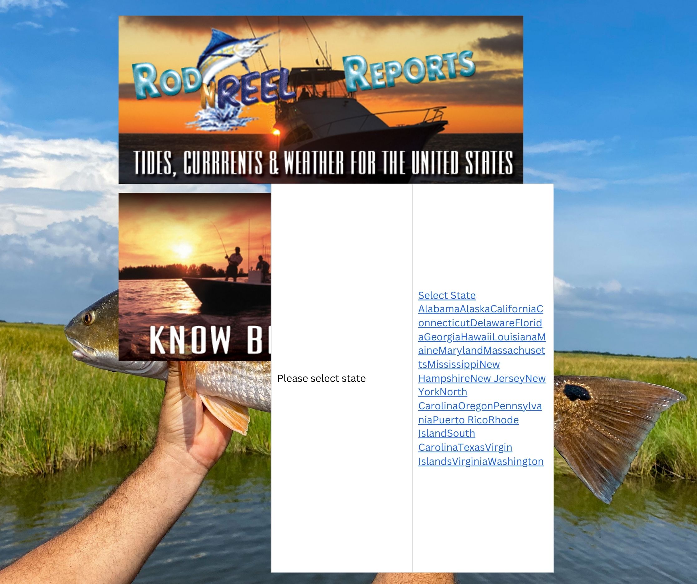 RodnReel Tides, image size:2233x1872